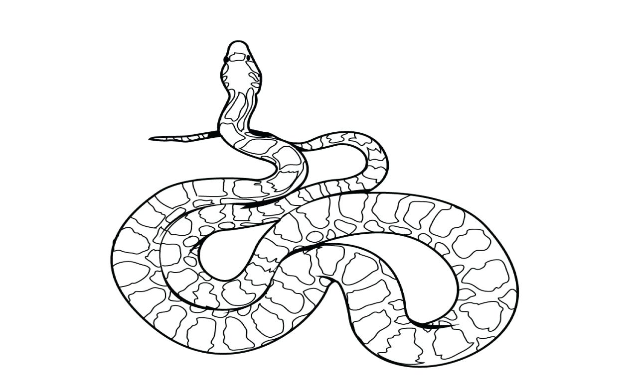 1280x768 Ninjago Snake Coloring Pages Perfect Gallery Unknown Size Corn