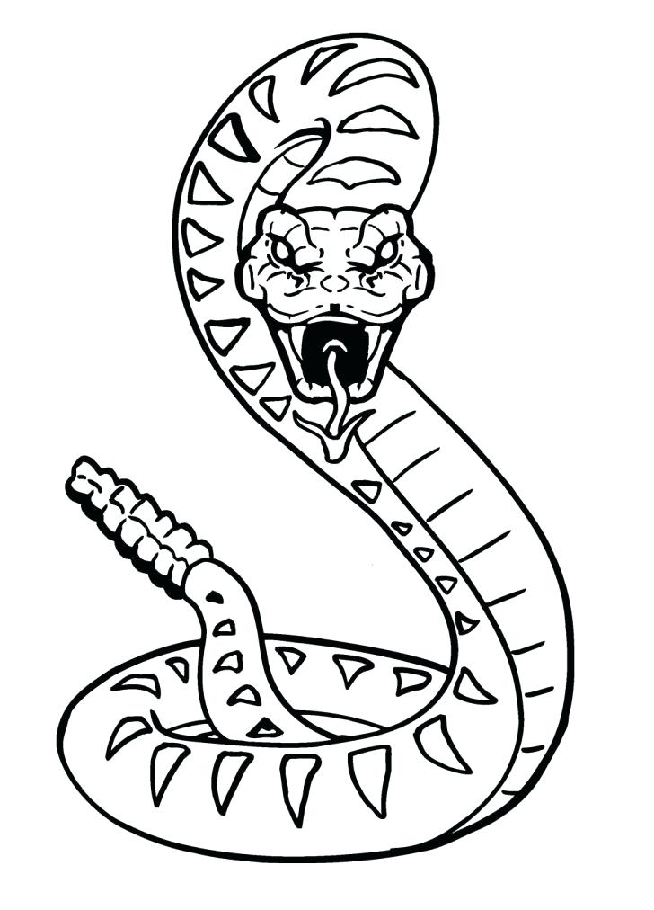728x1012 Snake Coloring Pages Medium Size Of Snakes Coloring Pages