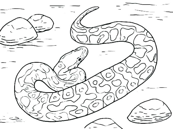 680x508 Boa Constrictor Coloring Page Boa Constrictor Coloring Page Boa
