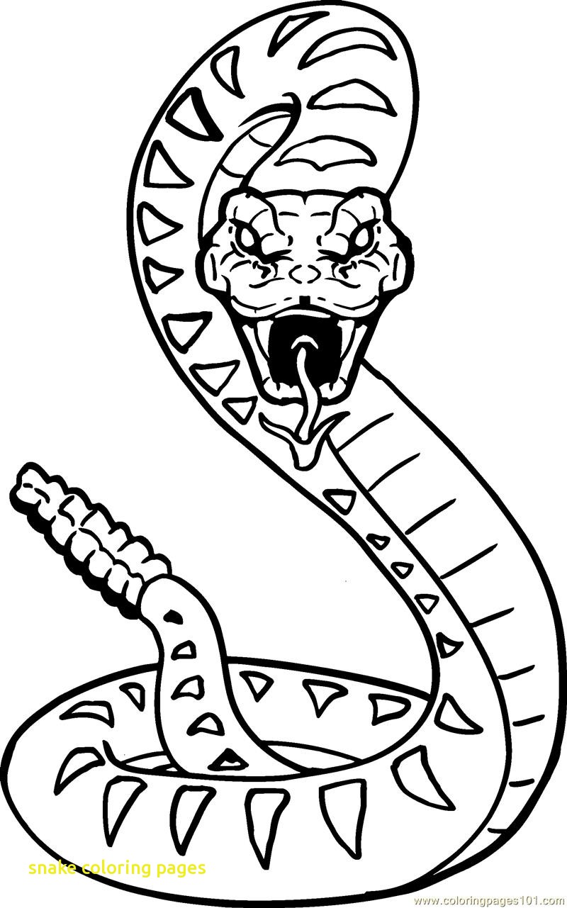 800x1281 Ninjago Snake Colouring Pages Coloring Free Printable To Print
