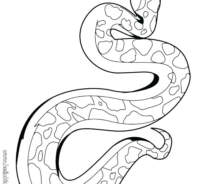678x600 Sea Snake Coloring Page Snakes Coloring Pages Snake Snake Coloring