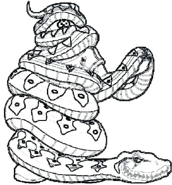 557x598 Snake Coloring Pages Pin Drawn Snake Colouring Page Snake Snake