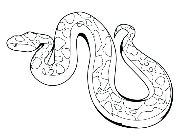 728x563 Snake Coloring Pages Snake Coloring Pages Snake Coloring Page