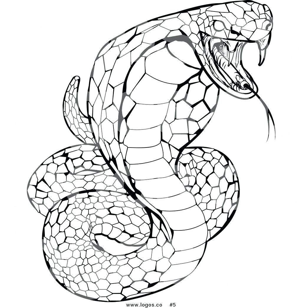 1024x1044 Coloring Pages ~ Snake Coloring Pages Top Page Snapshot Ninjago