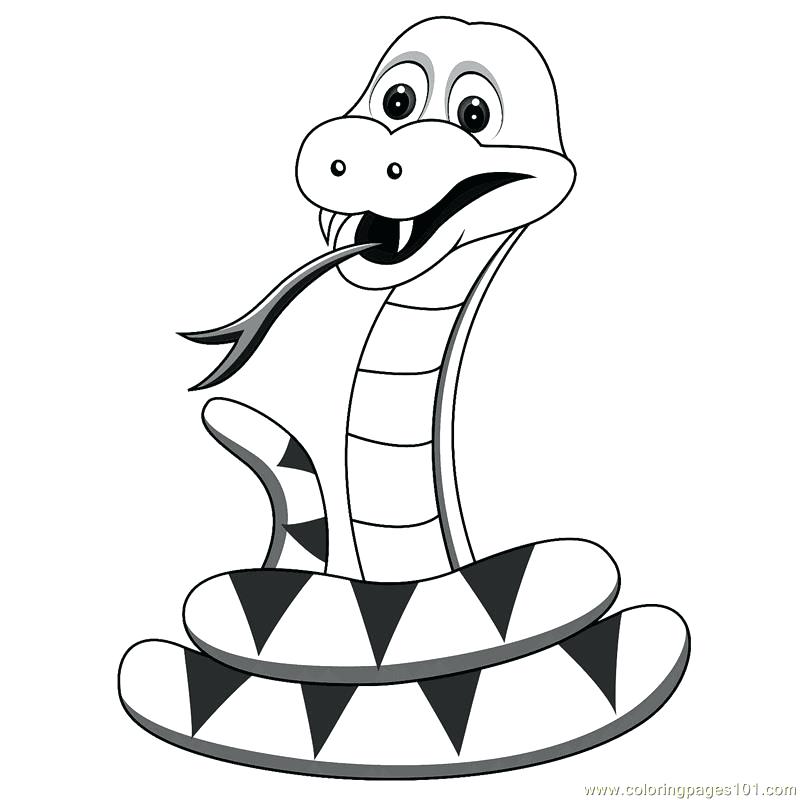 800x800 Snakes Coloring Pages