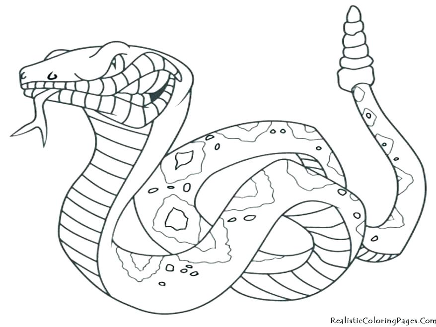 878x659 Coloring Pages Snakes Animal Ninjago Coloring Pages Snakes