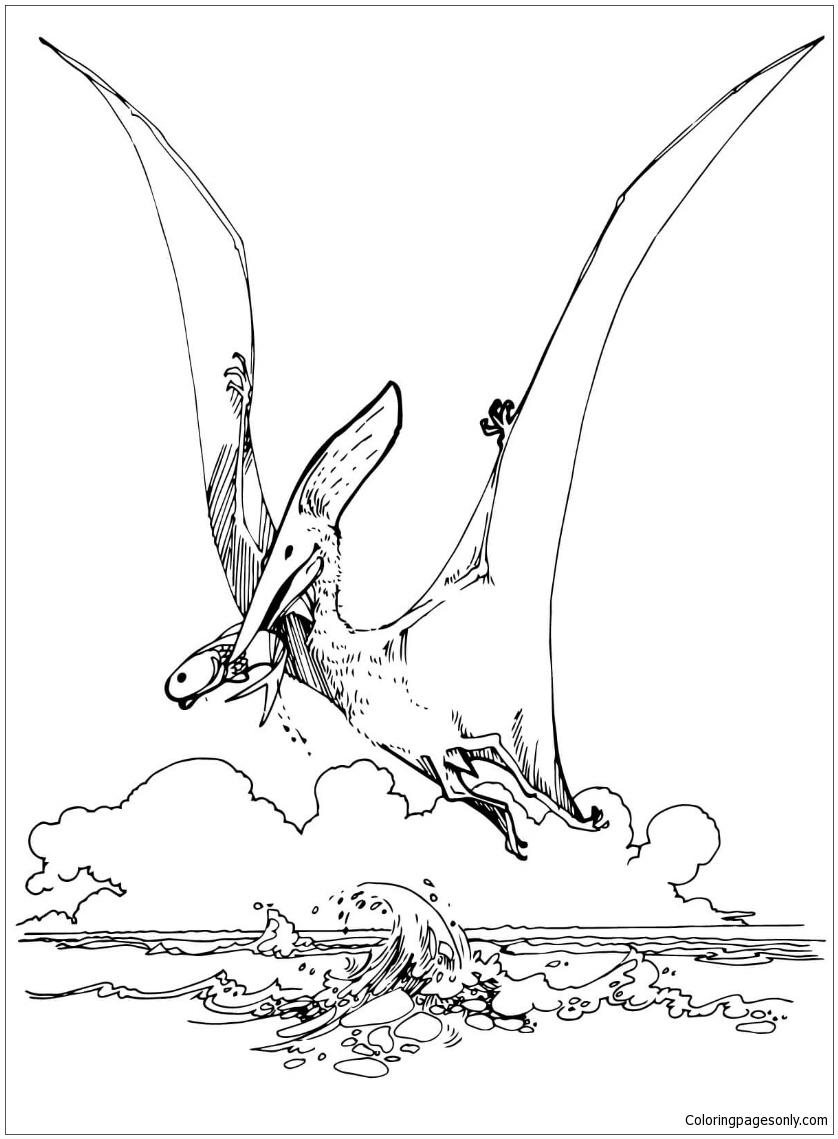 838x1139 Gtr Coloring Pages