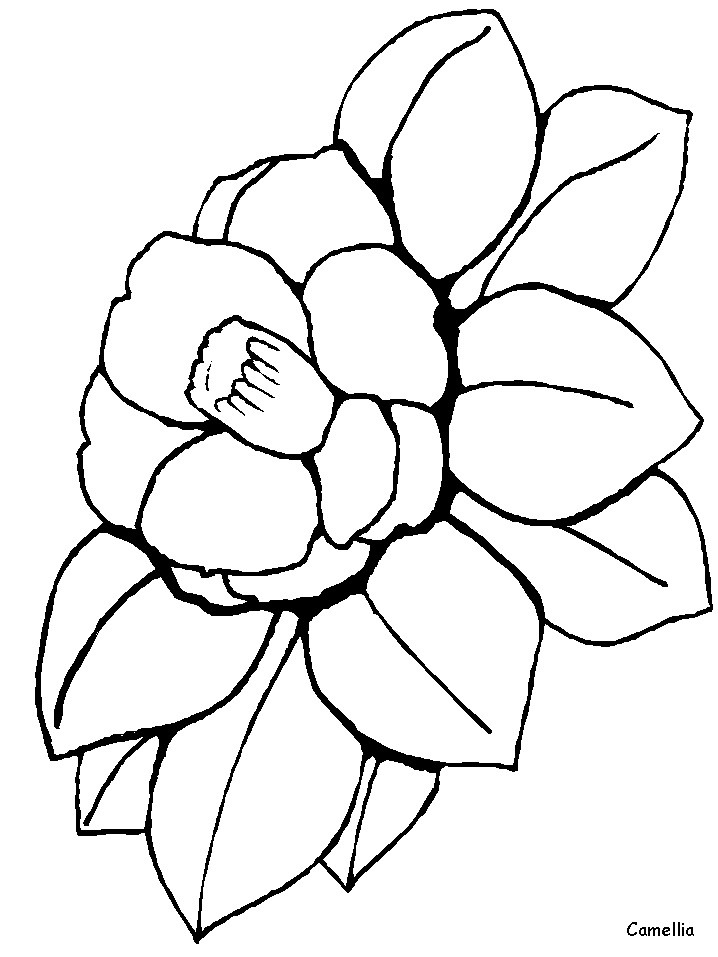 718x957 Gtr Coloring Pages Fresh 10 Best Projects To Try Images