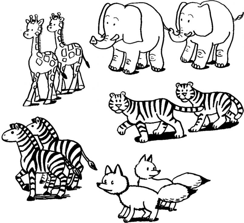 805x737 Coloring Noah's Ark And Rainbow Coloring Page Plus Noah Built
