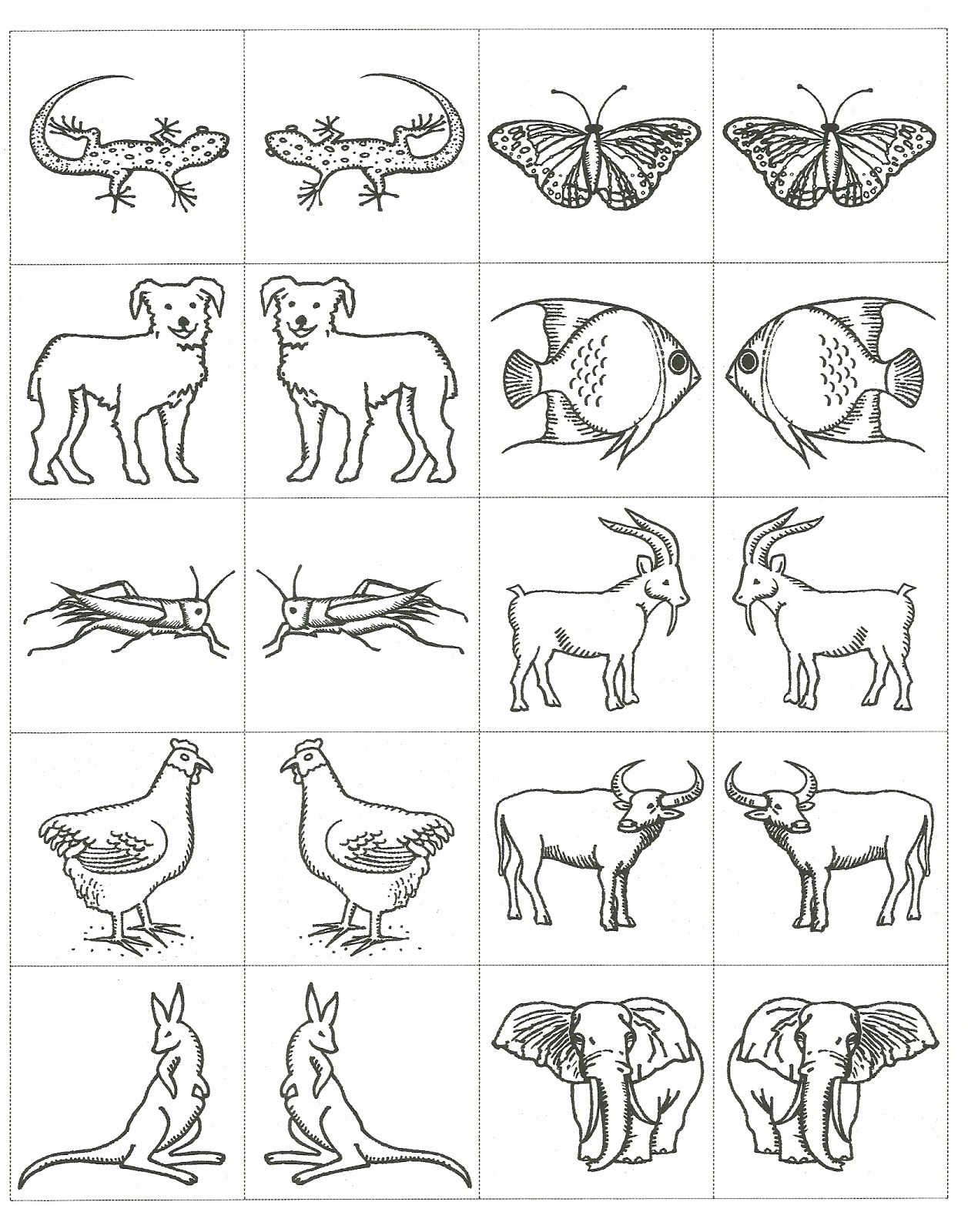 1257x1600 Inspiring Best Photos Of Animal Printouts For Noah Us Ark