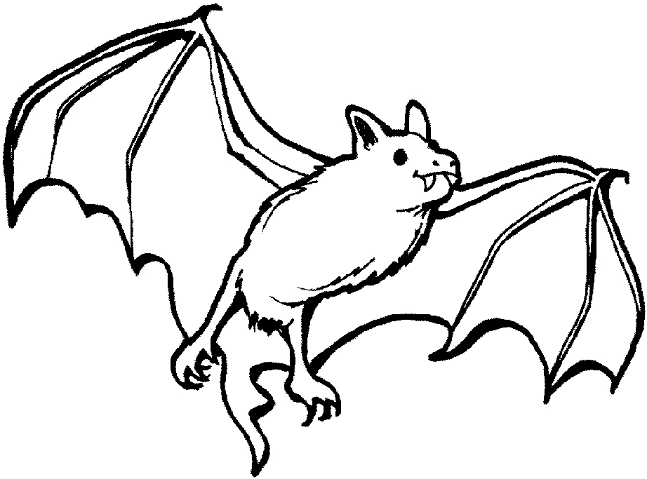 922x683 27 Bat Coloring Pages Pictures Free Coloring Pages