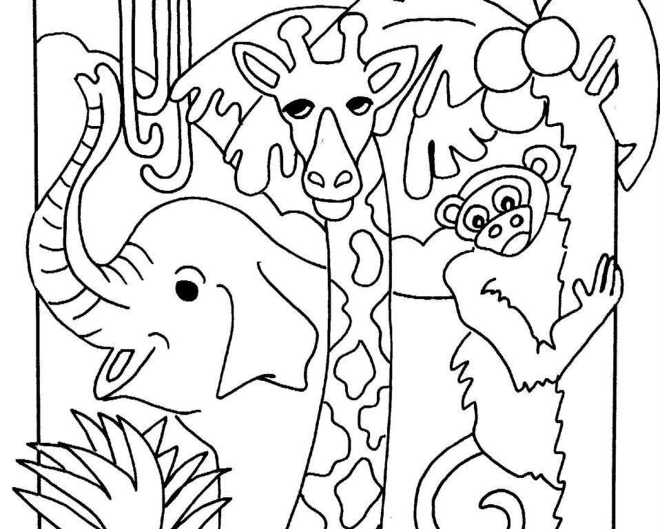 958x768 Nocturnal Animals Coloring Pages Page For Kids Impressive Free