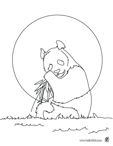 387x500 Coloring Pages ~ Animal Color Pages Nocturnal Animals Coloring