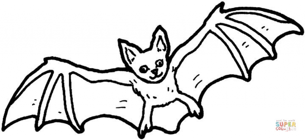 1024x471 Nocturnal Animals Coloring Pages Bat 23 Coloring Page Free
