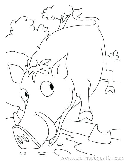 420x543 Nocturnal Animals Coloring Pages Nocturnal Animals Coloring Pages
