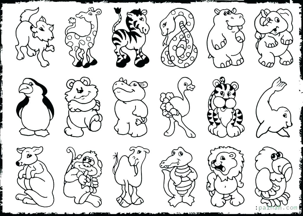 1024x728 Animal Print Coloring Pages Animal Print Coloring Pages Nocturnal