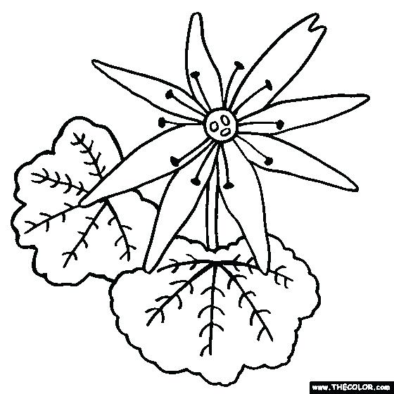 560x560 Num Nom Colouring Pages Coloring Free Download Best 1