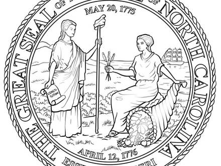 440x330 44 South Carolina Coloring Pages, Flag Of South Carolina Super