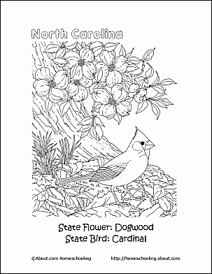 303x392 Mountain Coloring Pages Amp Printables Appalachian Mountains