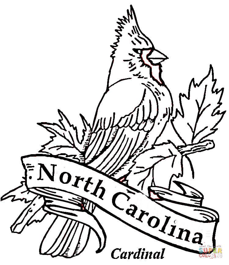 750x868 North Carolina State Symbols Coloring Pages