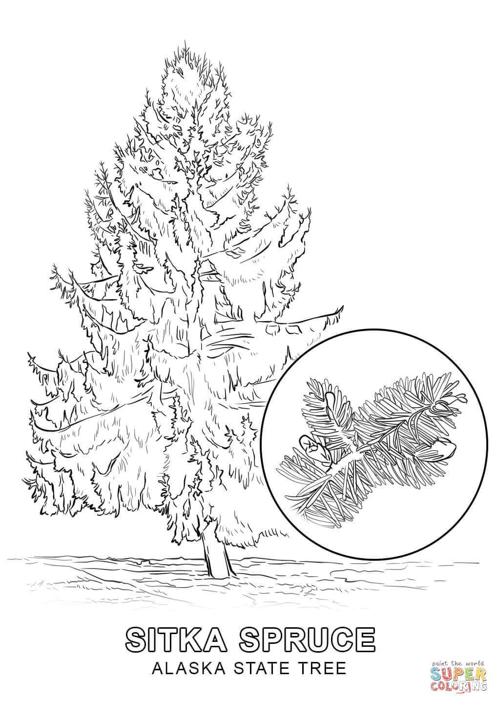 1020x1440 North Carolina State Tree Coloring Pages