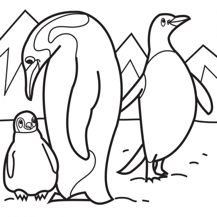 755x755 Penguin In The South Pole Coloring Pages Animal Coloring Pages
