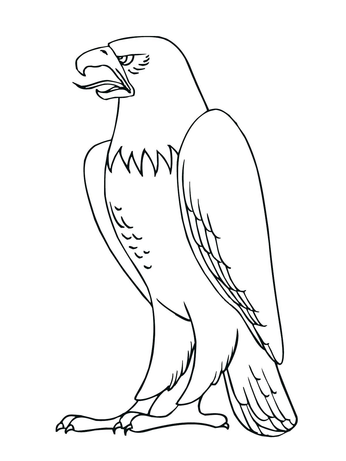 1200x1600 Amazing Excellent Norway Flag Coloring Page With Mexico Of Mexican