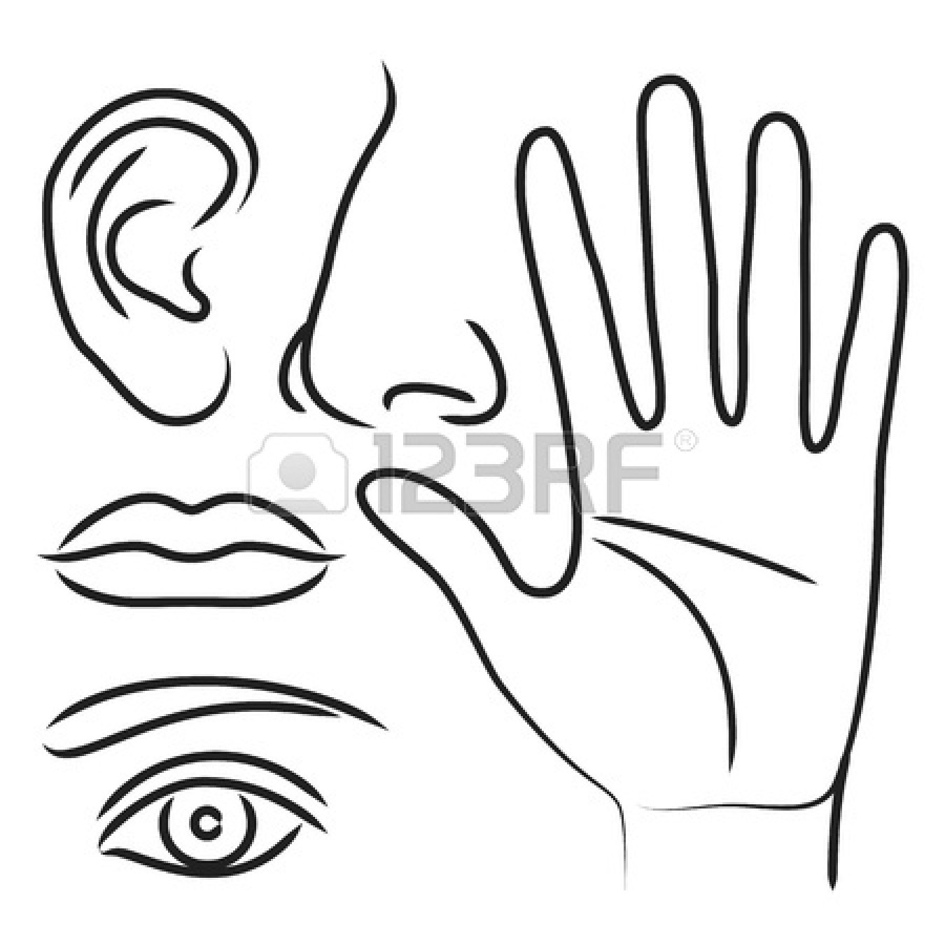 1350x1350 Coloring Picture Of A Mouth And Ear Coloring Pages, Nose Coloring