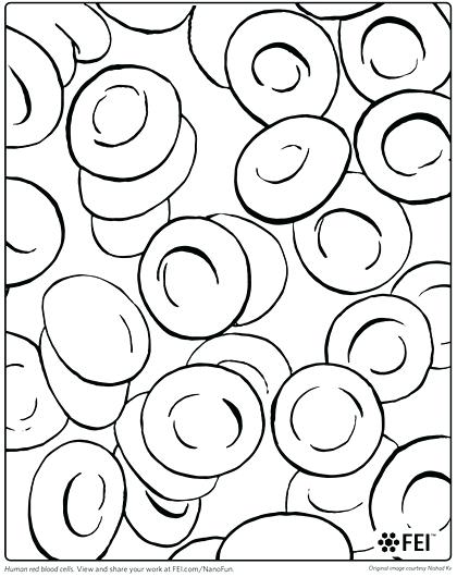 420x530 Amusing Human Cell Coloring Page Free Animal Cell Coloring Pages
