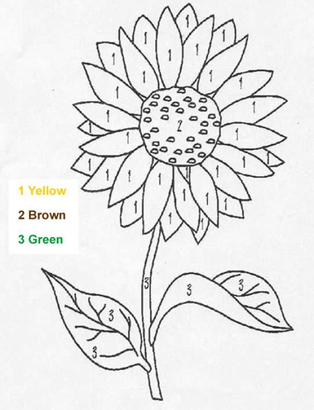 612x800 Color By Number Visual Perceptual Worksheets Ot Ideas