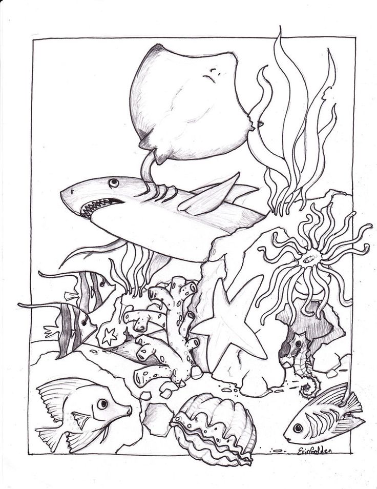 736x954 17 Best School Learning Underwater Friends Coloring Pages Of Ocean