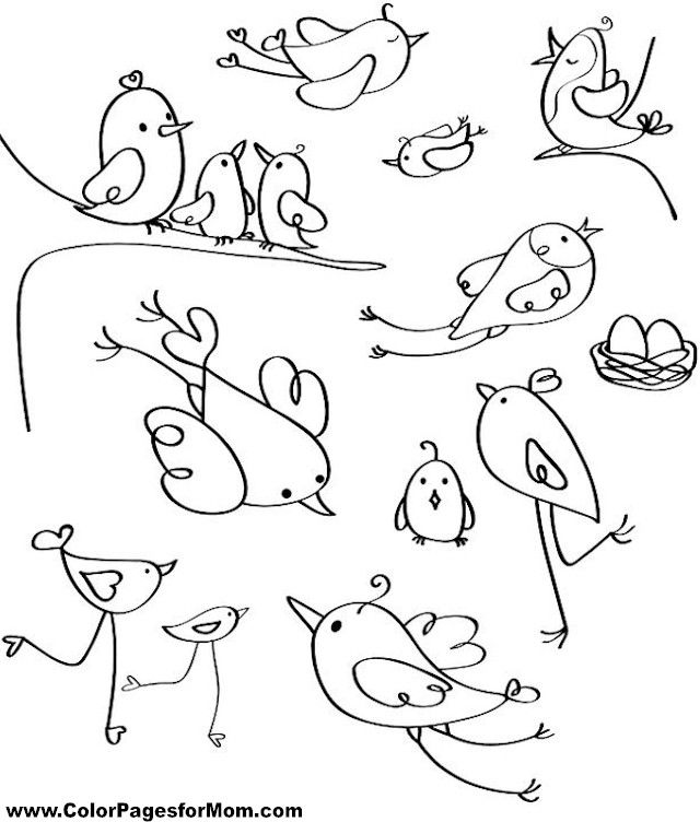 640x752 Bird Coloring Page 19 Colouring Pics Dibujo
