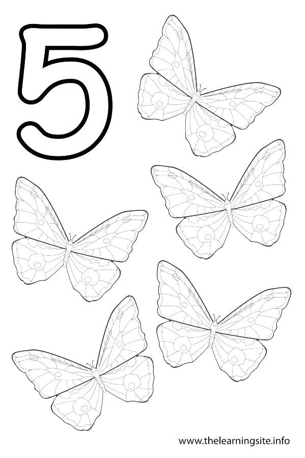 599x899 Number 5 Coloring Page Bubble Numbers 1 Luxury Printable Numbers 1