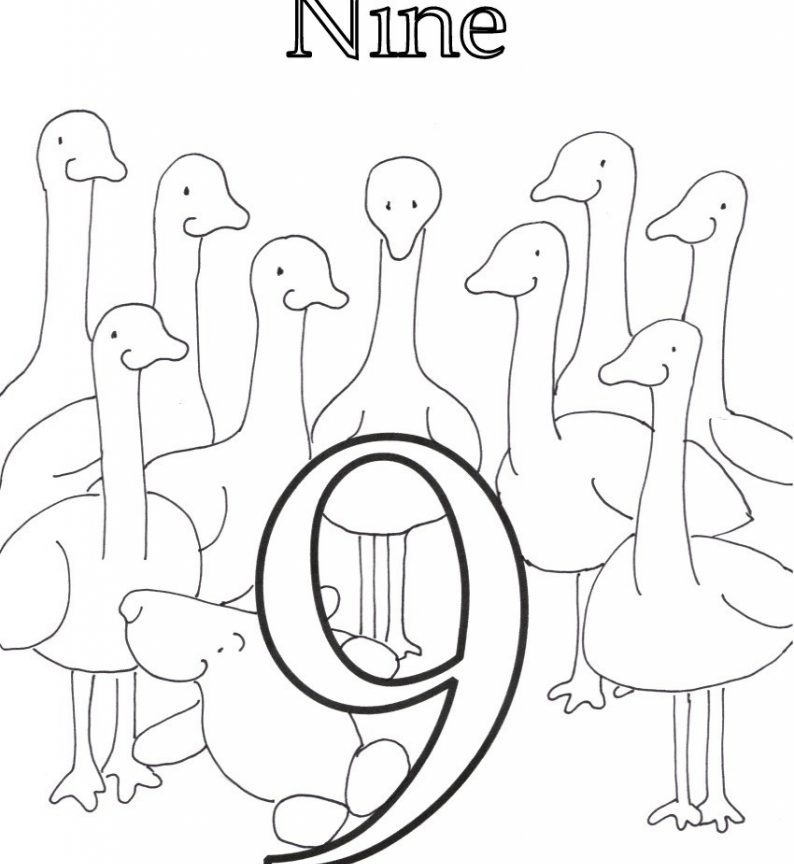 794x864 Numbers 9 Coloring Pages How To Draw Number Free Printable Kids 0