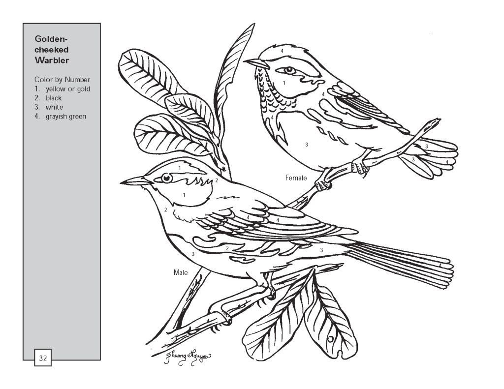 1024x791 Inspiring Color By Number Sheets Bebo Pandco Pic Of Coloring Pages