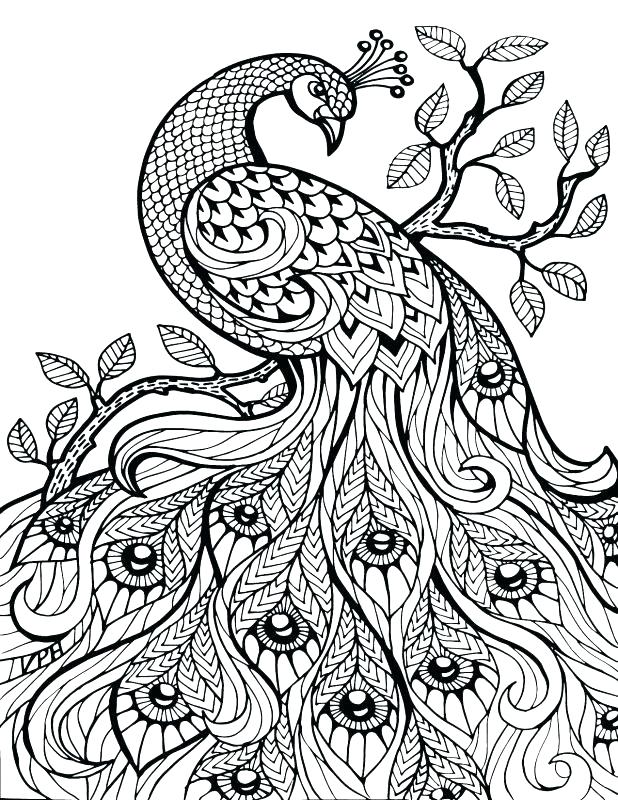 618x800 Advanced Color By Number Coloring Pages Color By Number Page Free