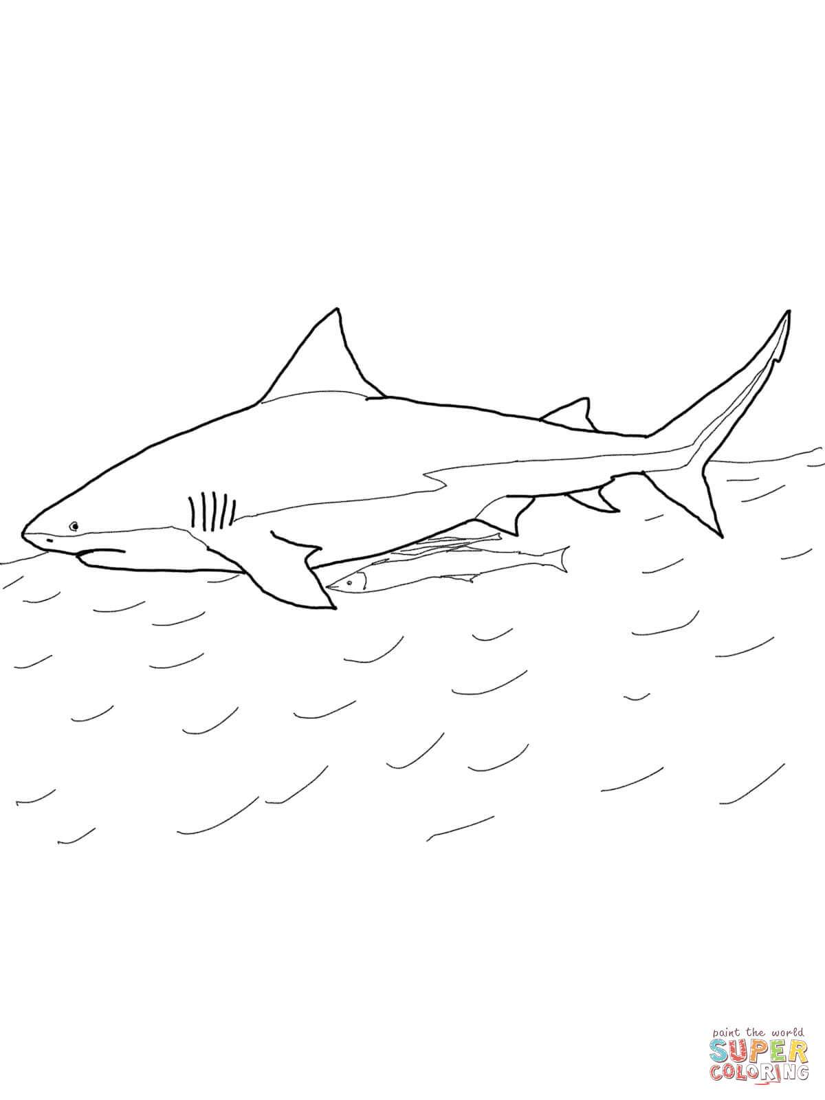 1200x1600 Nurse Shark Coloring Pages