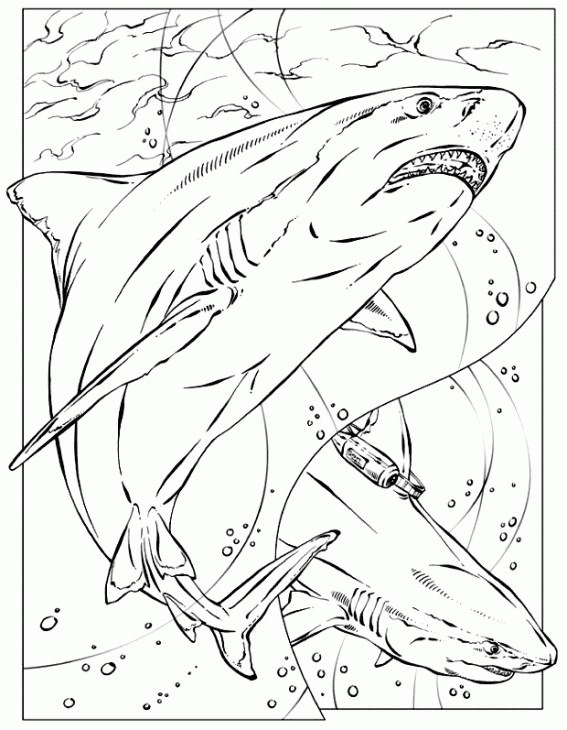 567x730 Little Mermaid Shark Coloring Pages