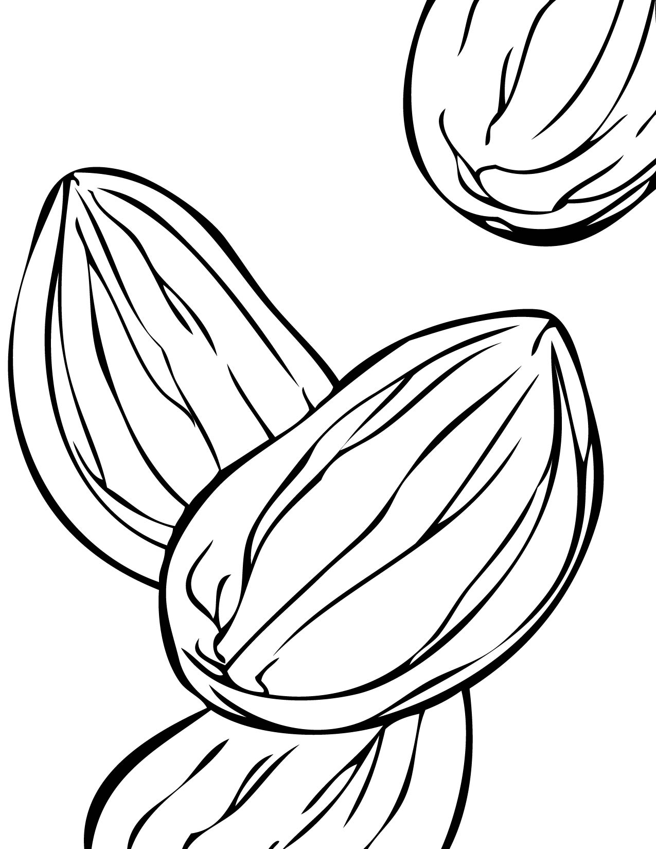 Nuts Coloring Page