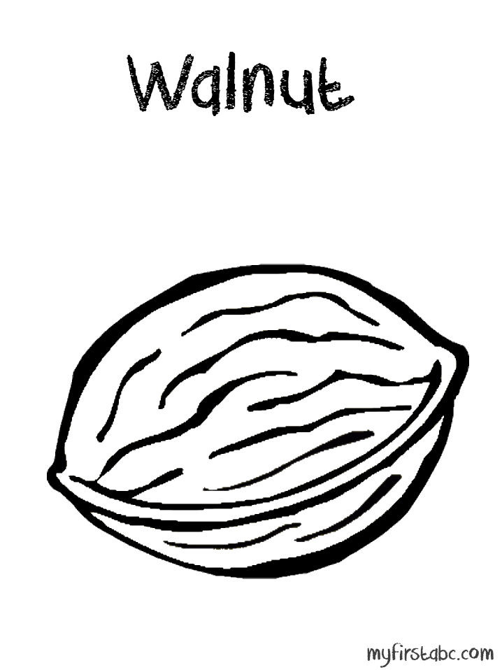 718x958 Nuts Coloring Pages Walnut Coloring Pages Walnut