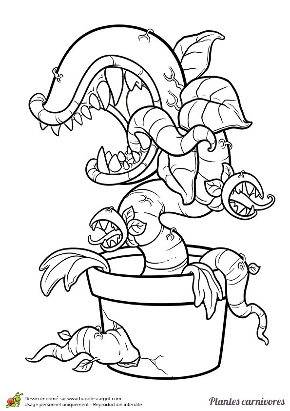 595x842 24 Nyan Cat Coloring Pages Images Free Coloring Pages