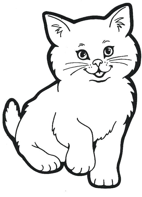552x761 Cat Color Page Cat Coloring Pages Realistic Tabby Cat Coloring