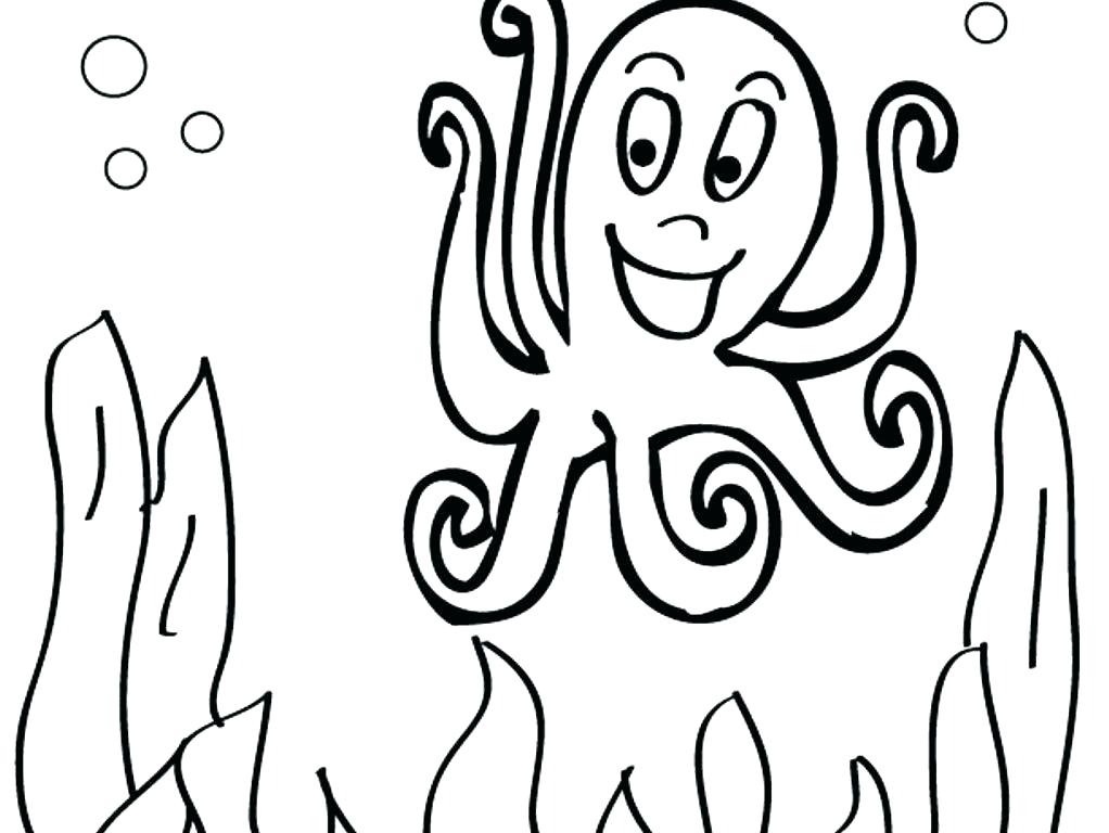1022x768 Octopus Coloring Pages Printable Outline Drawing At Free