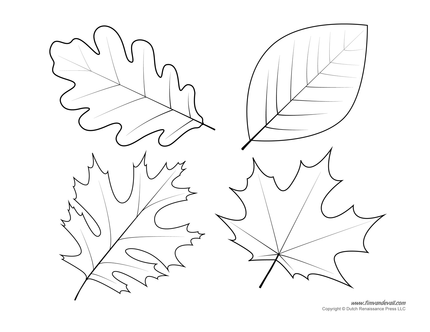 1500x1159 Hurry Leaf Stencils Printable Oak Template Coloring Page Image
