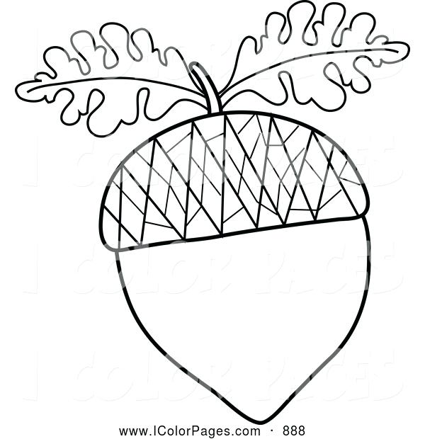 600x620 Leaf Coloring Coloring Trend Medium Size Oak Leaf Coloring Page