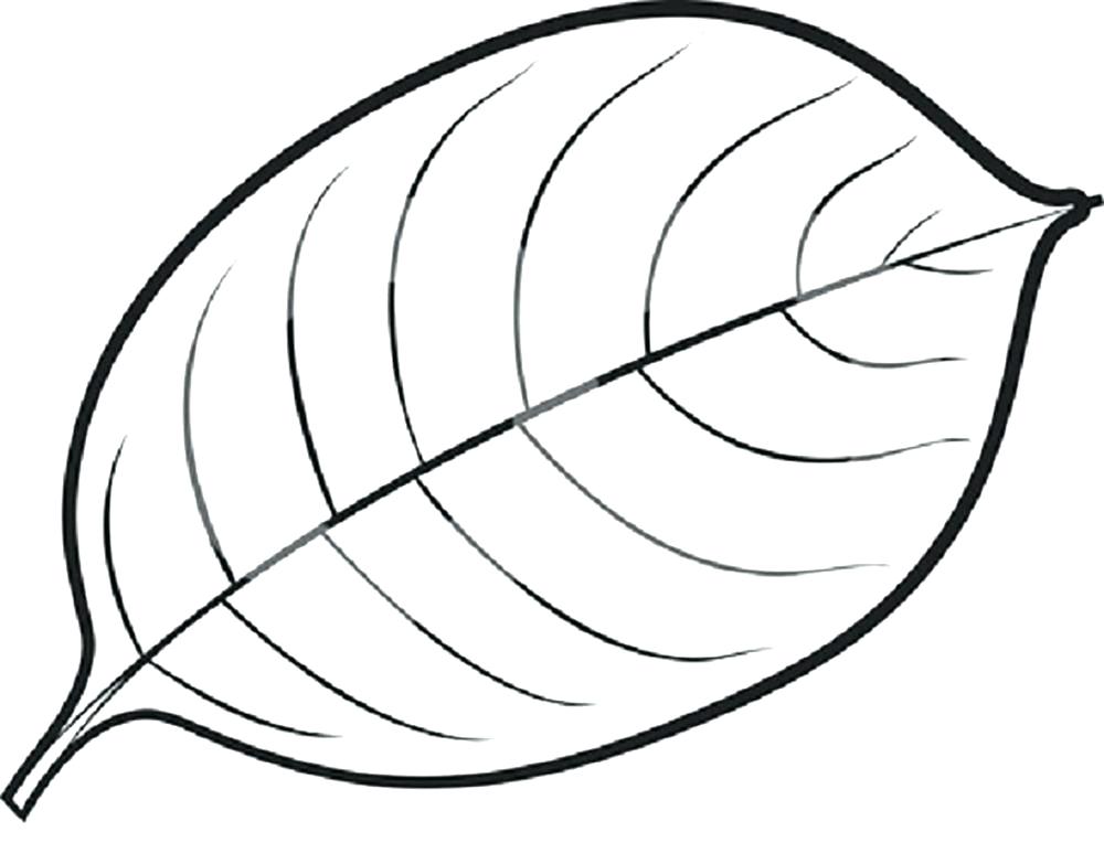 1000x783 Leaf Color Pages Awesome Leaf Coloring Pages And Printable Leaves