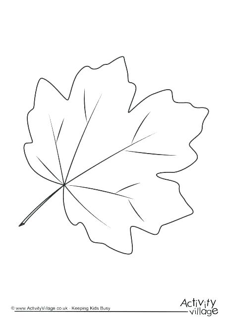 460x650 Leaves Coloring Page Oak Leaf Coloring Page Oak Leaf Coloring Page