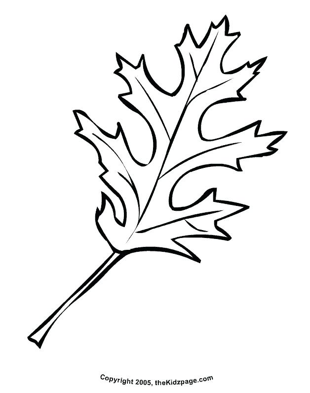 628x796 Autumn Leaf Coloring Pages Autumn Leaves Coloring Pages Autumn