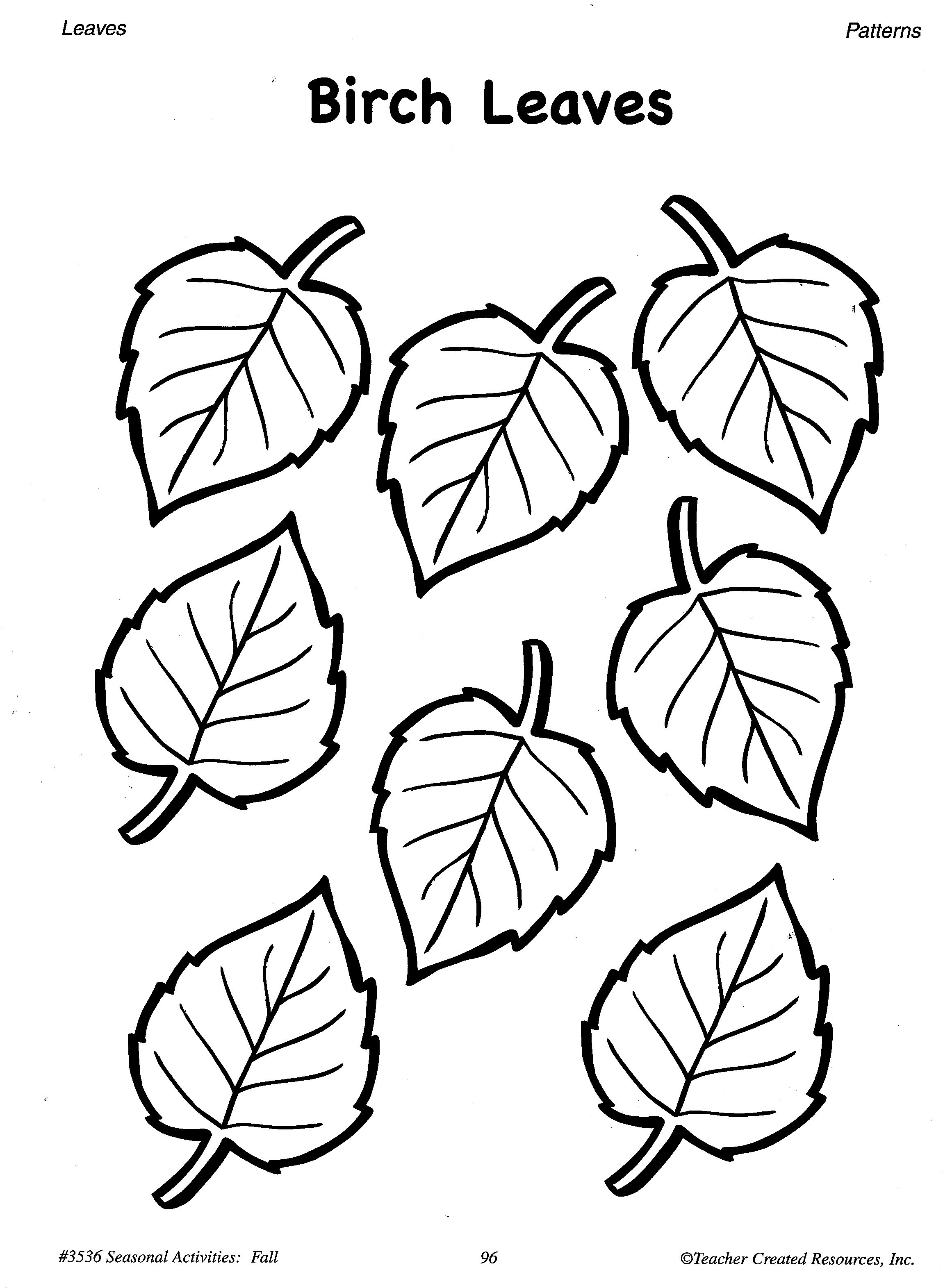 2300x3143 Focus Leaves Template Printable Free Oak Leaf Coloring Page Image