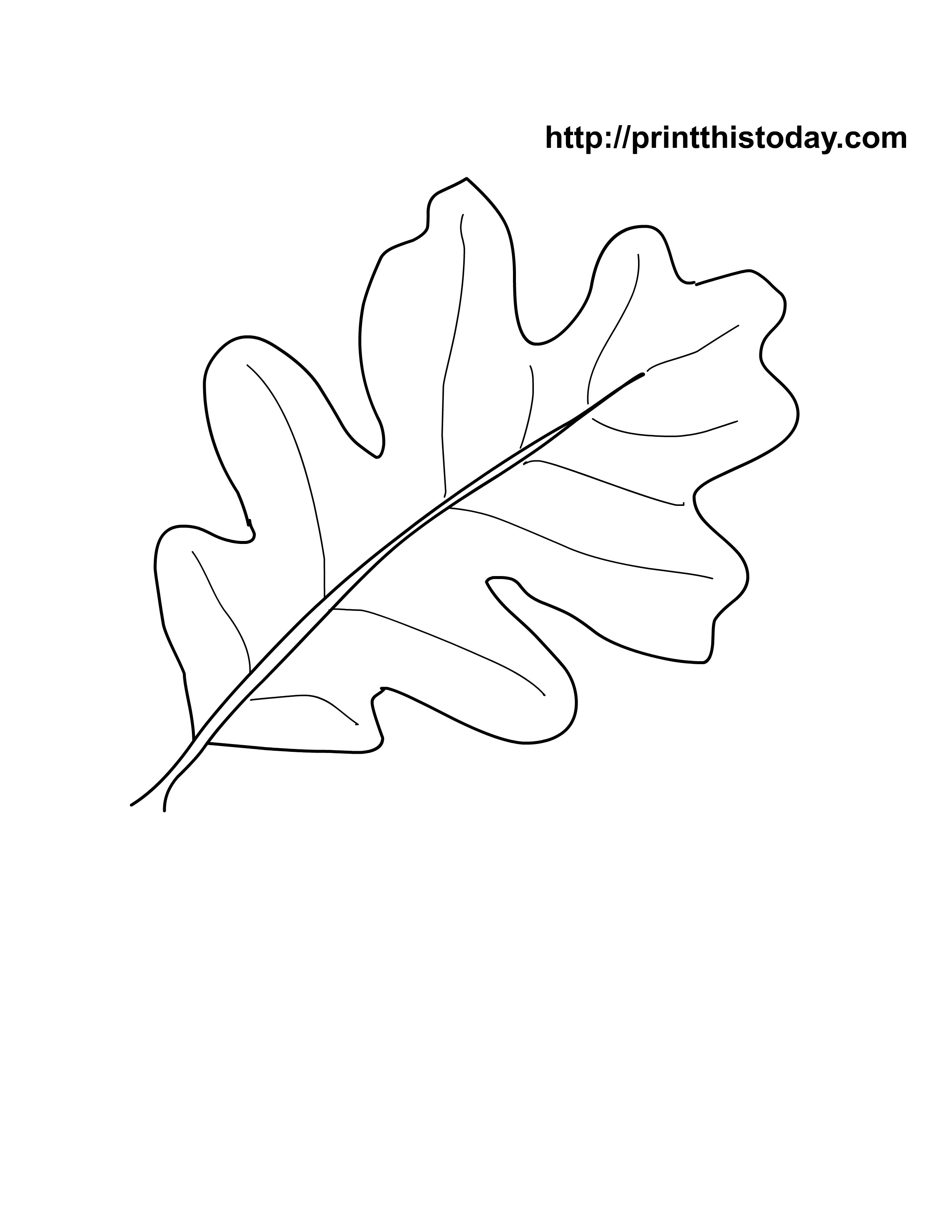 2550x3300 Exploit Leaf Print Outs Oak Leaves Coloring Pages Printable Craft